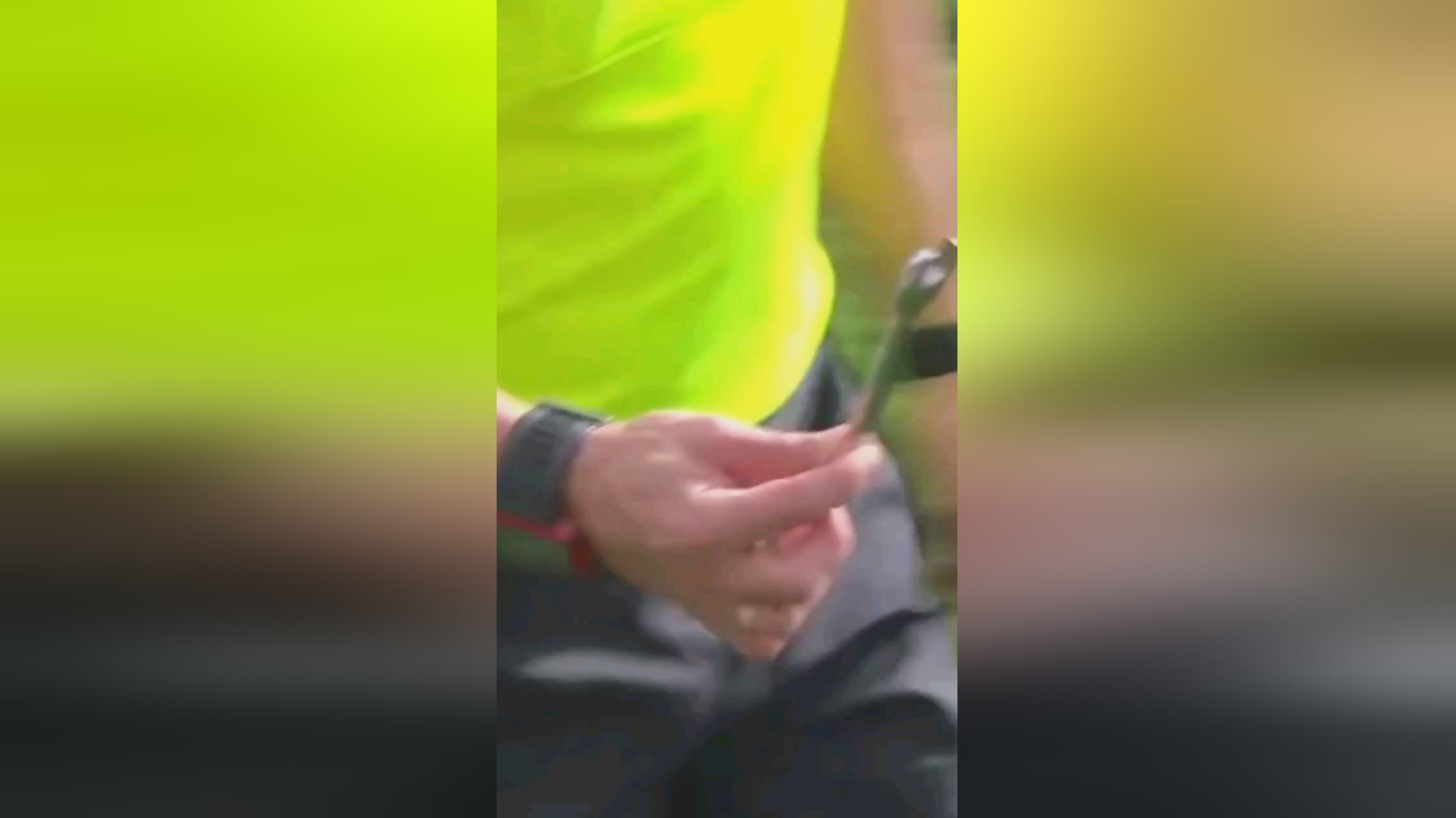 世界里